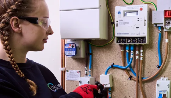 Powering Towards Net Zero: The Role of Smart Meters in the UK's Green Future